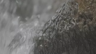 Zázračná planeta: Planeta Země III (4/8)