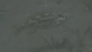 Zázračná planeta: Planeta Země III (4/8)