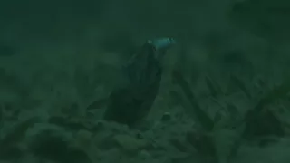 Zázračná planeta: Planeta Země III (4/8)