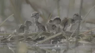 Zázračná planeta: Planeta Země III (4/8)