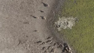 Zázračná planeta: Planeta Země III (4/8)