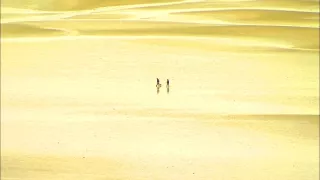 Severné Bretónsko, pokladnica tradícií