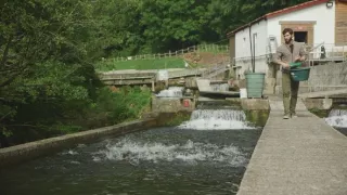 Rybie farmy - za a proti