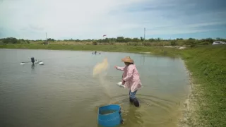 Rybie farmy - za a proti