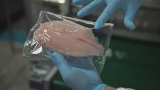 Rybie farmy - za a proti