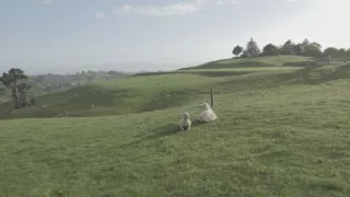 Nový Zéland, krajina Maorov