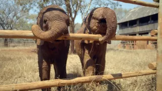 Afrika z výšky (10)