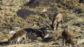 Divoké Španělsko (2/2)