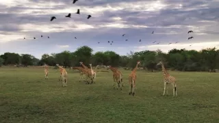 Zázračná planeta: Planeta Země III (3/8)