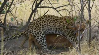 Zázračná planeta: Planeta Země III (3/8)