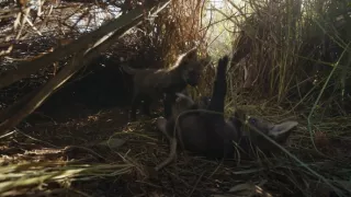 Zázračná planeta: Planeta Země III (3/8)