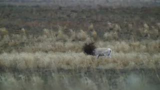 Zázračná planeta: Planeta Země III (3/8)