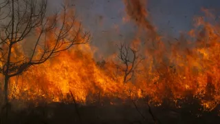 Zázračná planeta: Planeta Země III (3/8)