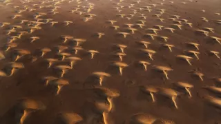 Zázračná planeta: Planeta Země III (3/8)