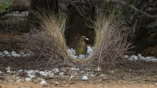 Zázračná planeta: Planeta Země III (3/8)