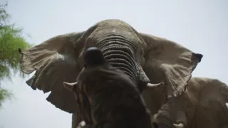 Zázračná planeta: Planeta Země III (3/8)