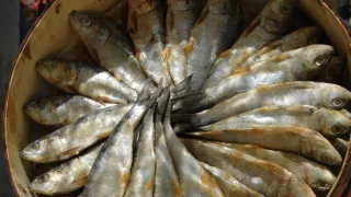 Kamera na cestách: Baleáry, ostrovy tradícií