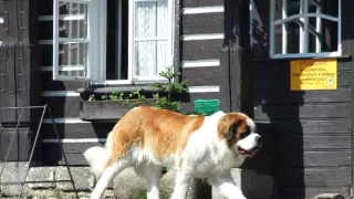 Na vrcholky hôr s Vladimírom Čechom