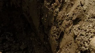 Podivuhodná cesta ježka Aladina