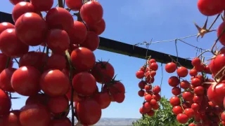 Úžasné Albánsko (1/2)