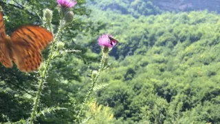 Úžasné Albánsko (1/2)