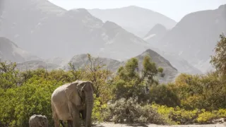 Zázračná planéta: Posledné raje na Zemi - Namib