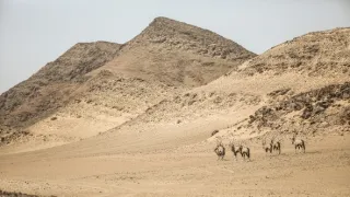 Zázračná planéta: Posledné raje na Zemi - Namib