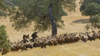 Nezkrotné Portugalsko (1)