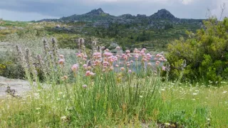 Nezkrotné Portugalsko (1)