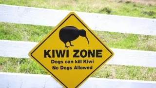 Nový Zéland, krajina hýriaca farbami