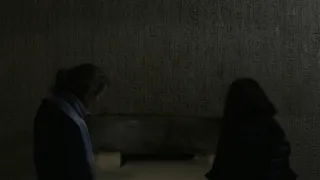 Kapitoly z dějin písma (1/2)