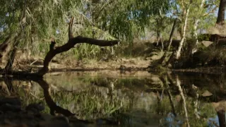 Kapitoly z dějin písma (1/2)