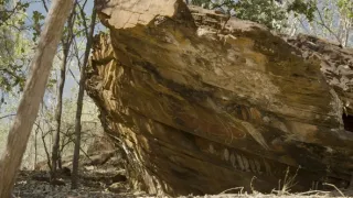 Kapitoly z dějin písma (1/2)