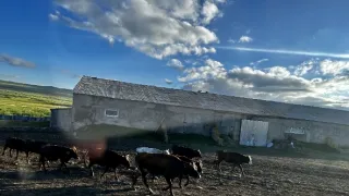 Hledání ztracených světů - Jižní Kavkaz s Romanem Zachem (4/6)