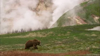 Sily formujúce prírodu (1)