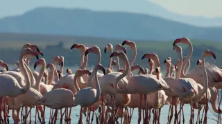 Sily formujúce prírodu (1)