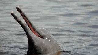 Sily formujúce prírodu (1)