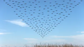 Človek ako živočíšny druh (2/2)