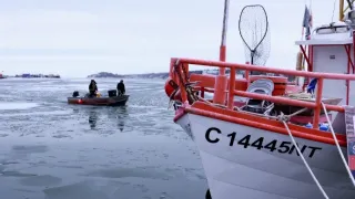 Volanie skutočného severu (5)