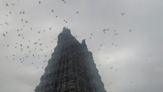 India z výšky (1/2)