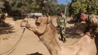 India z výšky (1/2)