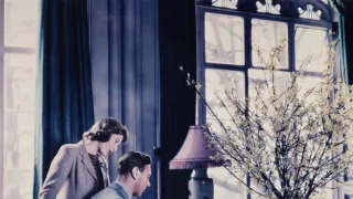 Kráľovná vo vojne