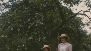 Kráľovná vo vojne