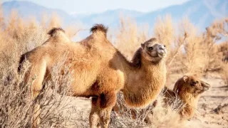 Dokonalá planéta (3/5)