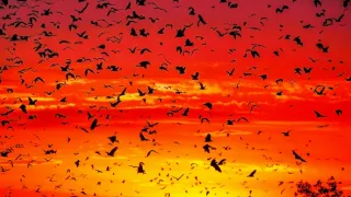 Dokonalá planéta (3/5)