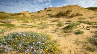 Portugalský juhozápad - pobrežie bocianov