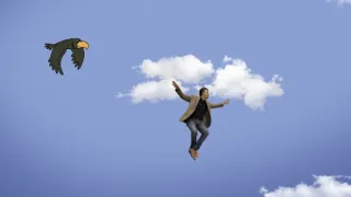 Emoce v umění (18/24)