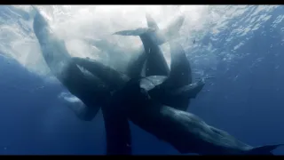 Vorvani - příběh jedné rodiny