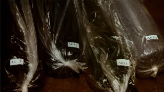 Severokorejská dynastie (3/4)