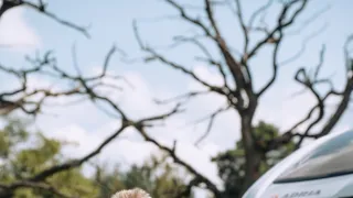 V karavane po Poľsku (3/8)